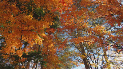 馬上搬家，腳手架拆除之後 featured image