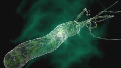 H. pylori related researches featured image