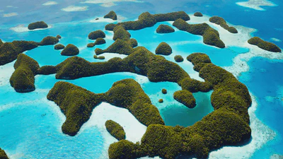 Health researches I joined in Palau featured image